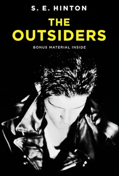 The-Outsiders-book-review